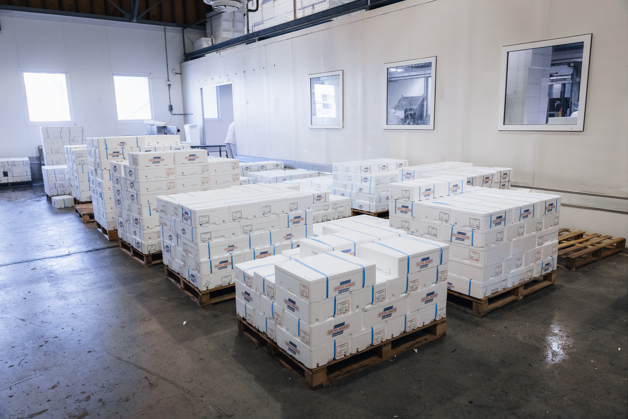 Progetto Senza Titolo (2)