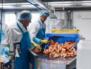 Bertus Dekker 021 (1)