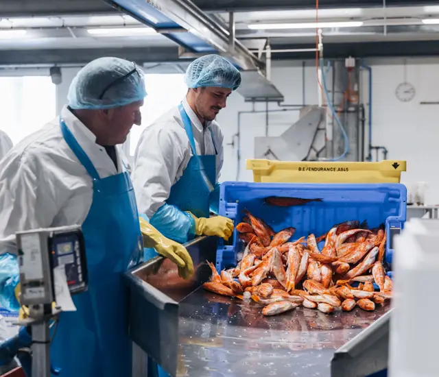 Bertus Dekker 021 (1)