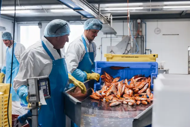 Bertus Dekker 021 (1)