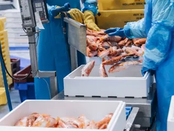 Bertus Dekker 015 (1)