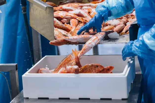 Bertus Dekker 016 (1)