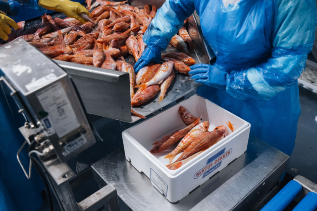 Progetto Senza Titolo (4)