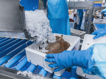 Progetto Senza Titolo (6)