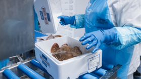 Progetto Senza Titolo (7)