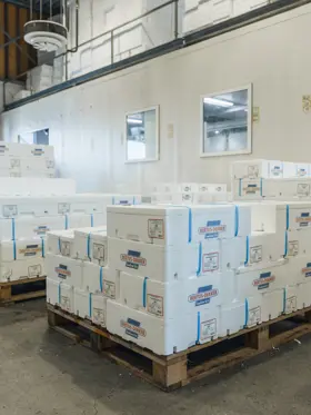 Bertus Dekker 033 (1)