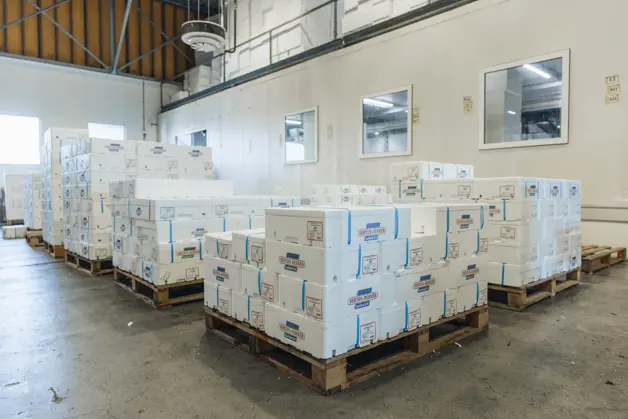 Bertus Dekker 033 (1)