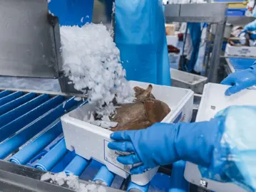 Bertus Dekker 024 (1)