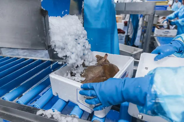 Bertus Dekker 024 (1)